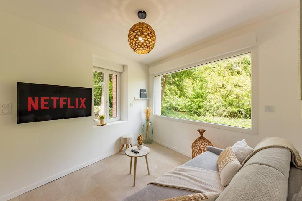 Le Rivera - Clim - Parking - Netflix - Nestor & Margot Auterive  Esterno foto
